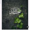 waleedmohamed1110