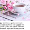 user7888125925793