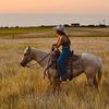 horse_finn_atic