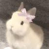 myra_luz