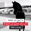user6113234996035