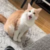 mhhhyyd