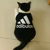 doctenlamdog1
