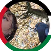 sabrinas_piepshow