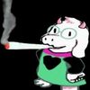 watchdodo_