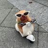 just_meow_____