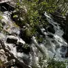preetkm13