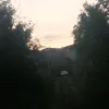 funtik7134