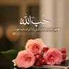 hinafayyaz10
