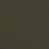 shaked_s1an1
