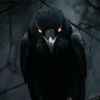 olegmerrow