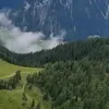 ffgfffffttgg