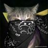 zander_mantap