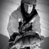 lohjavihaaja