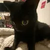 teengirl0_