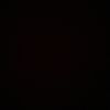 vegim__1