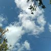 querensiasky091004