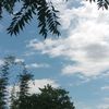 peaceful_soul144