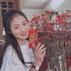 _vandau123
