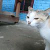 iyhfitri
