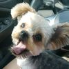 lola.peanut