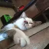 dhnsbdkkk