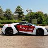 uae13h