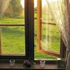 amina_1111971