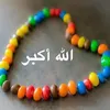binayroman12