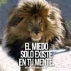 khenyruiz