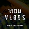 viduvlogs99