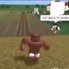 gg_giferz