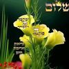 user8uno7853yw