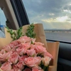 amona_alj20