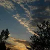 jefmasckj24444