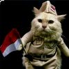 botak_merah_lucuksekali