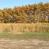 zolikakiss09