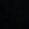 chx_bt.lm.j
