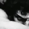 thearchvngel