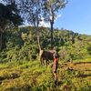 winmyatthu_2399