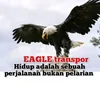 elang transport