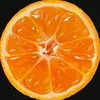 thw_gitze