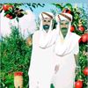 mohammadsafdar80