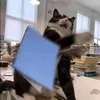 iwishyouhoneysuckle
