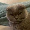 ameliegotvibes
