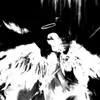 ewl1x07