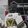 a.dion67