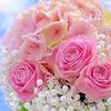 .mughal.a