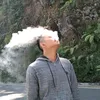 dandykocir
