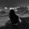 _aalinnka_310